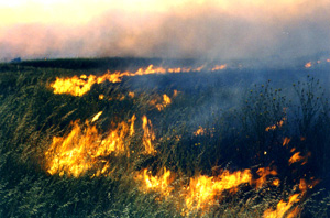 Incendios